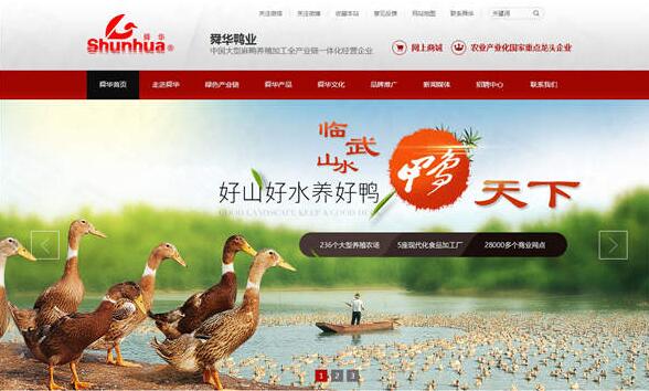 湖南臨武舜華鴨業(yè)營銷型網(wǎng)站建設案例